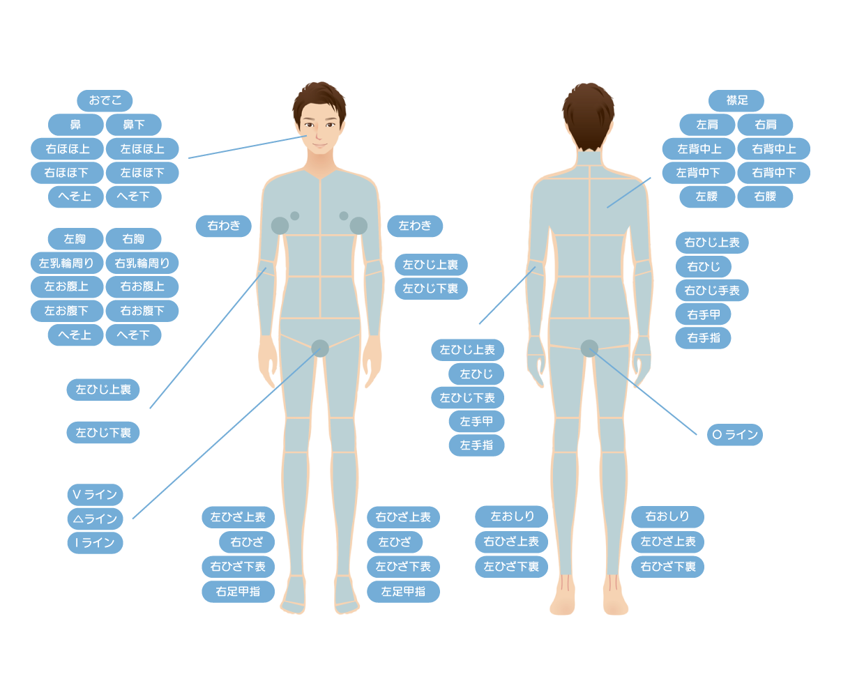 全身